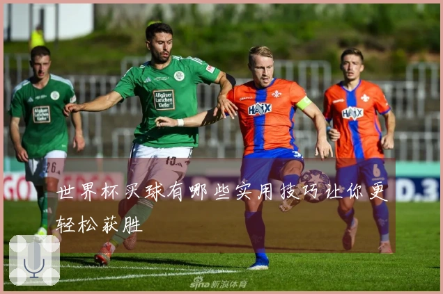 世界杯买球有哪些实用技巧让你更轻松获胜