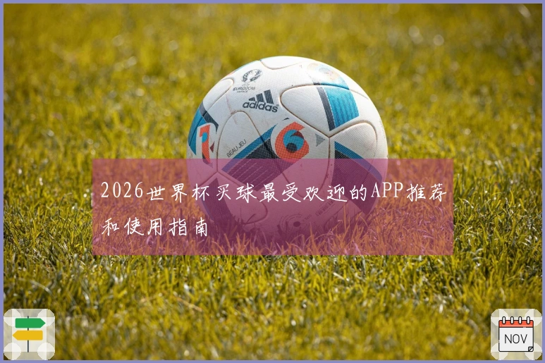 2026世界杯买球最受欢迎的APP推荐和使用指南