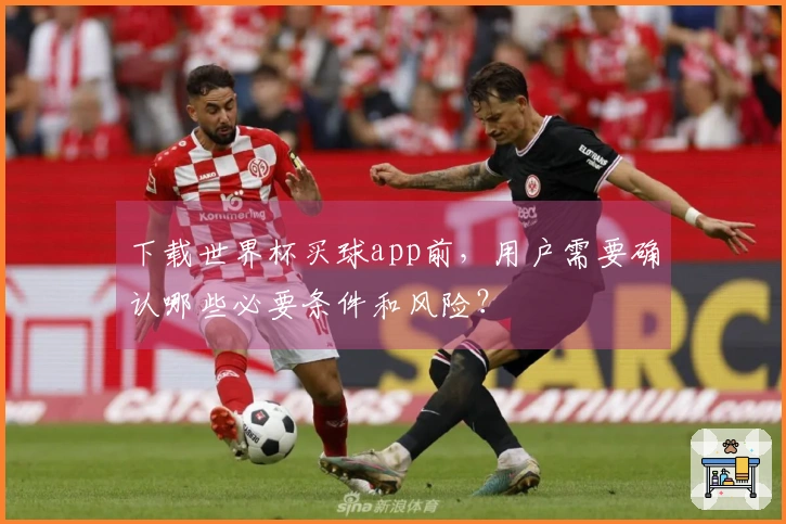 下载世界杯买球app前，用户需要确认哪些必要条件和风险？