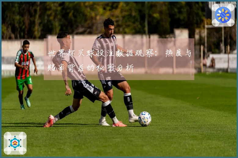 世界杯买球投注数据观察：热度与赔率背后的秘密分析