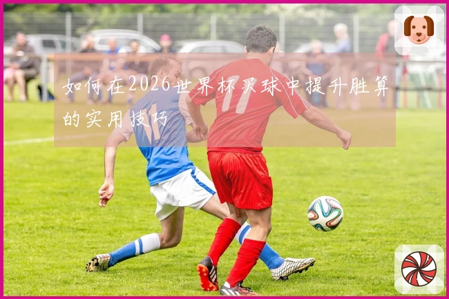 如何在2026世界杯买球中提升胜算的实用技巧