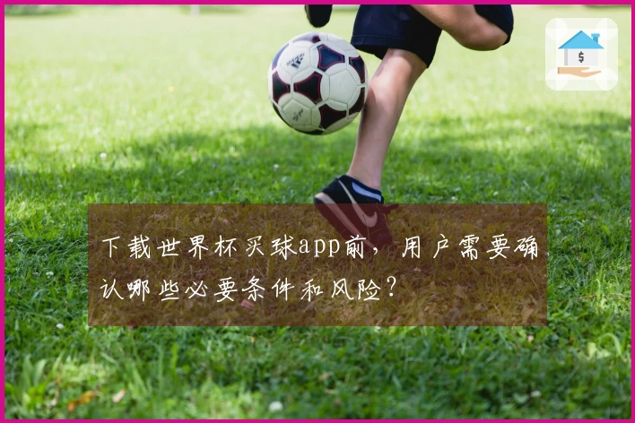 下载世界杯买球app前，用户需要确认哪些必要条件和风险？