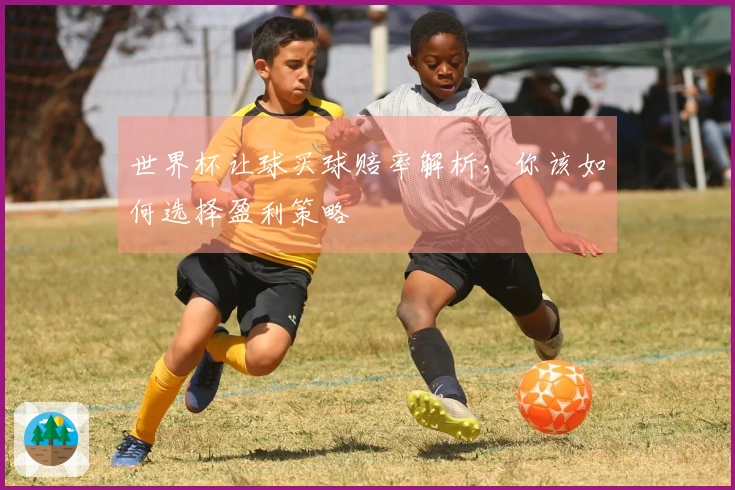 世界杯让球买球赔率解析，你该如何选择盈利策略