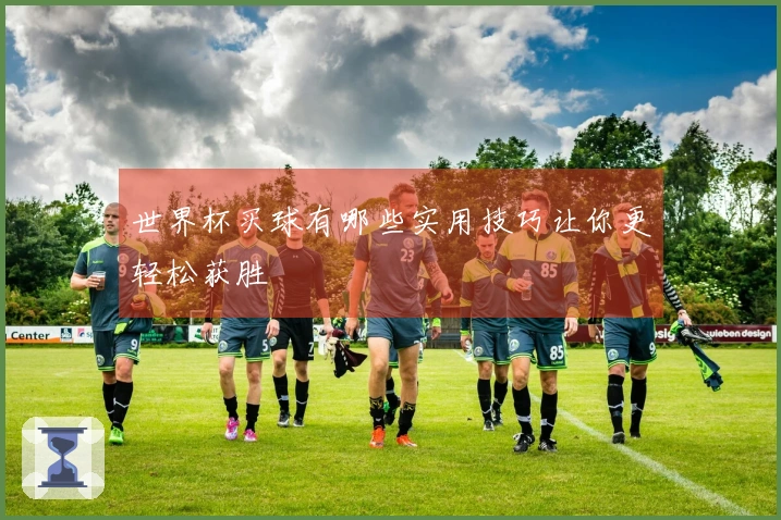 世界杯买球有哪些实用技巧让你更轻松获胜