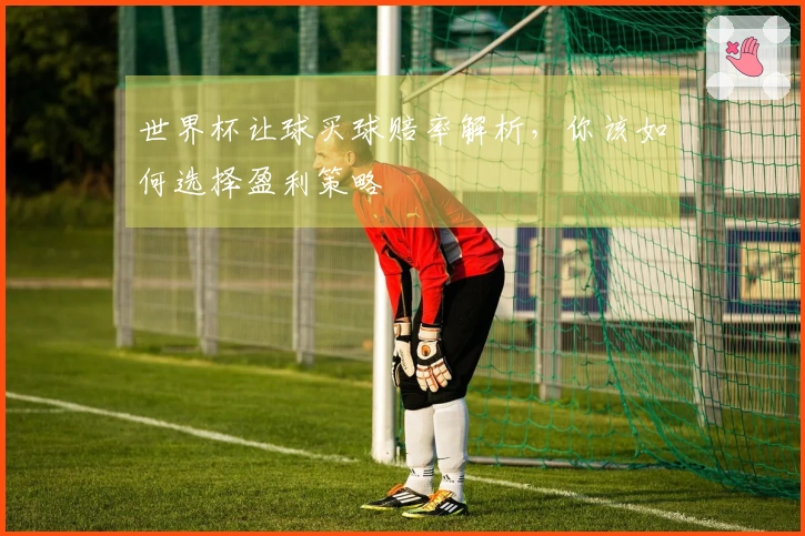 世界杯让球买球赔率解析，你该如何选择盈利策略