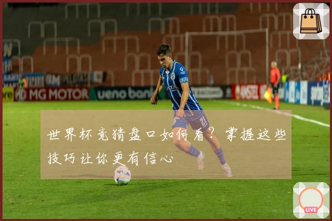 世界杯竞猜盘口如何看？掌握这些技巧让你更有信心