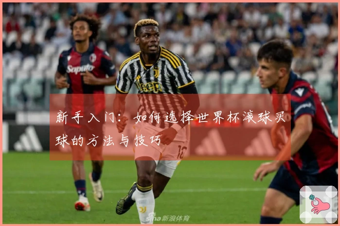 新手入门：如何选择世界杯滚球买球的方法与技巧